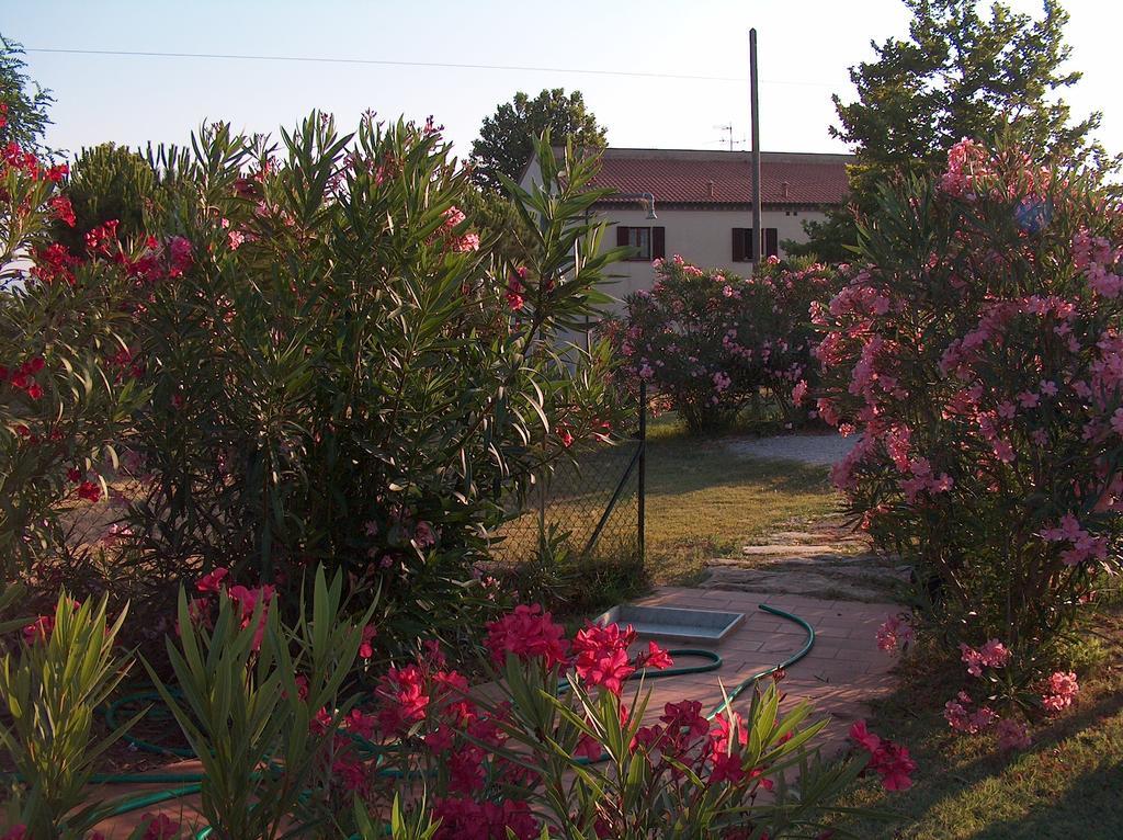 Villa azienda agrituristica Allumiere Campiglia Marittima Exterior foto